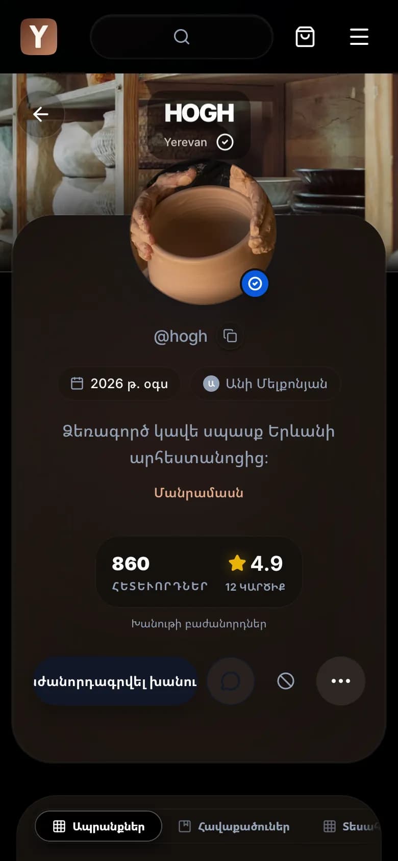 Խանութի ցուցափեղկը Ylon-ում՝ շապիկ, լոգո, բրենդի անվանում, բաժանորդներ և գնահատական