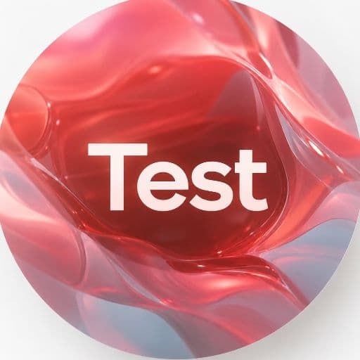 Ylon Test